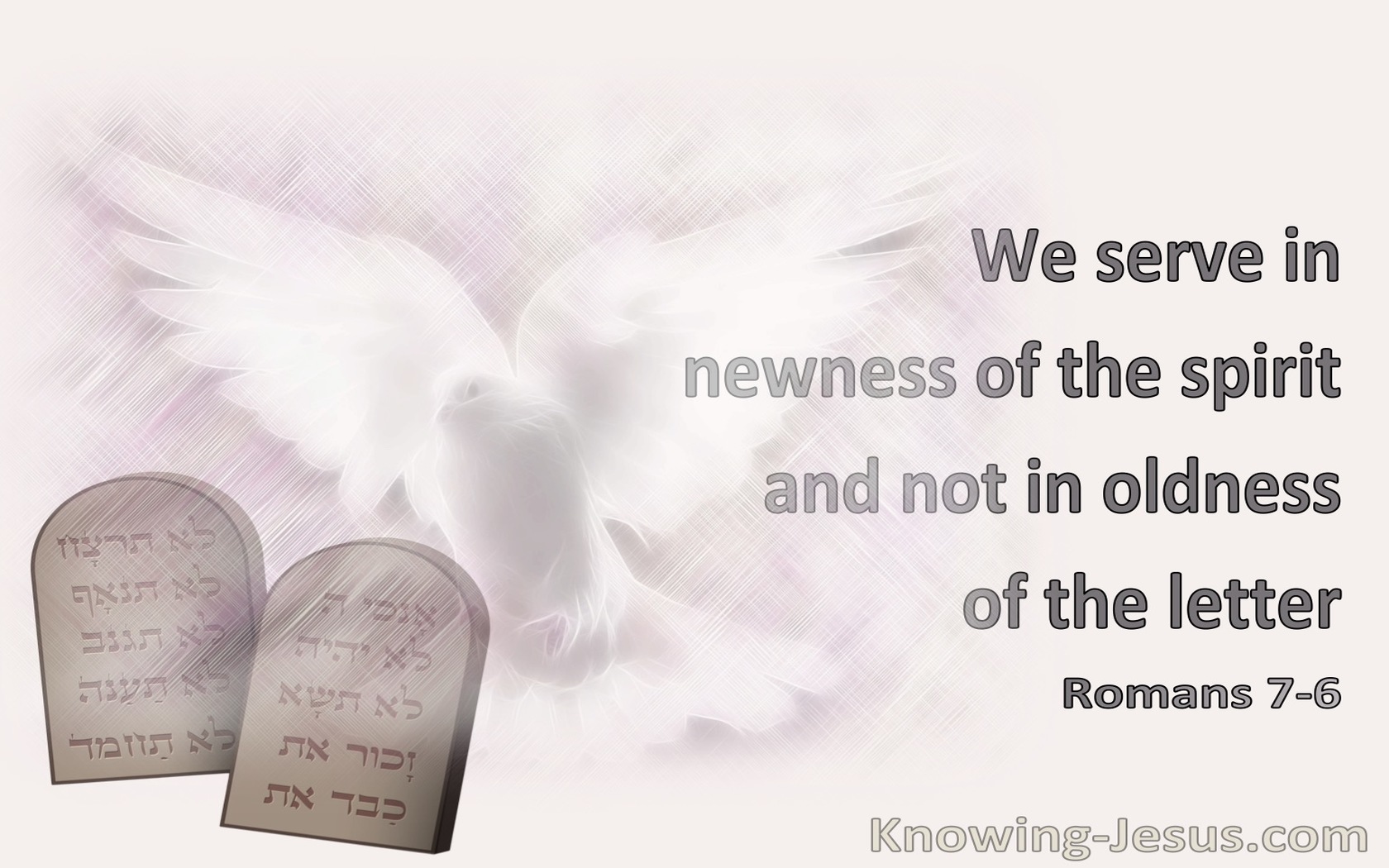 Romans 7:6 We Serve In Newness Of The Spirit And Not In Oldness Of The Letter (pink)
